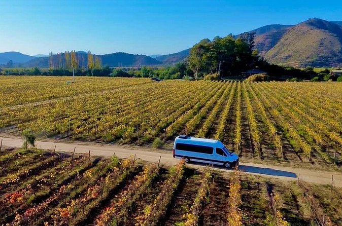 Rows of vines running across the floor of the Casablanca Valley with bare hills behind