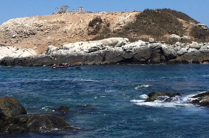 The low offshore stack of Isla Cachagua, a protected Humboldt penguin colony, seen from the shore